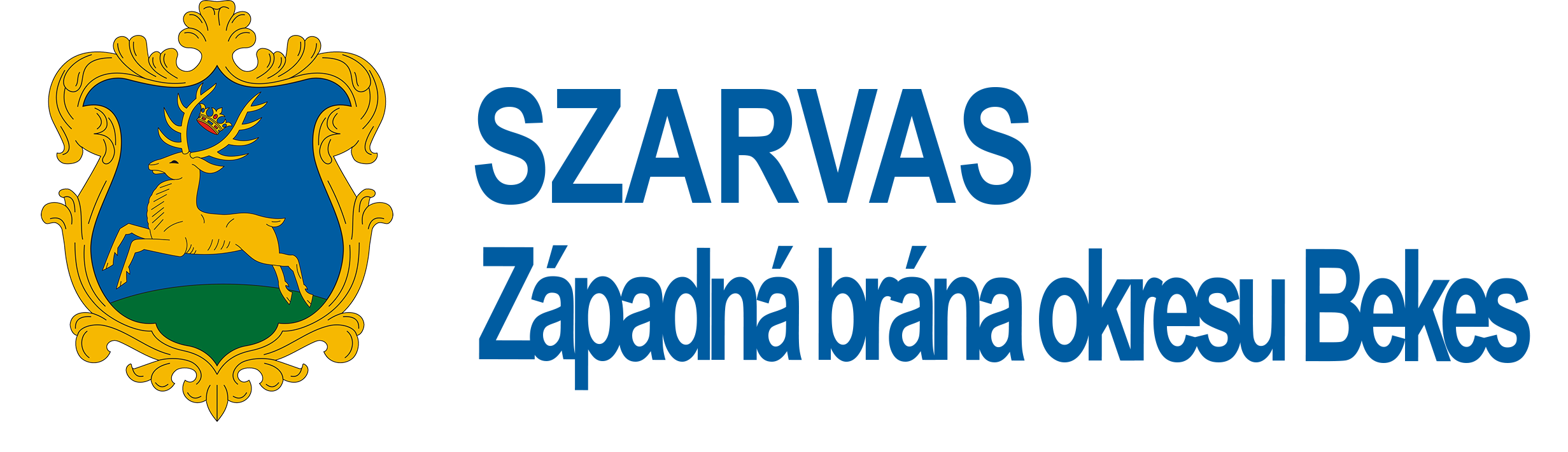 Webová stránka mesta Sarvaš